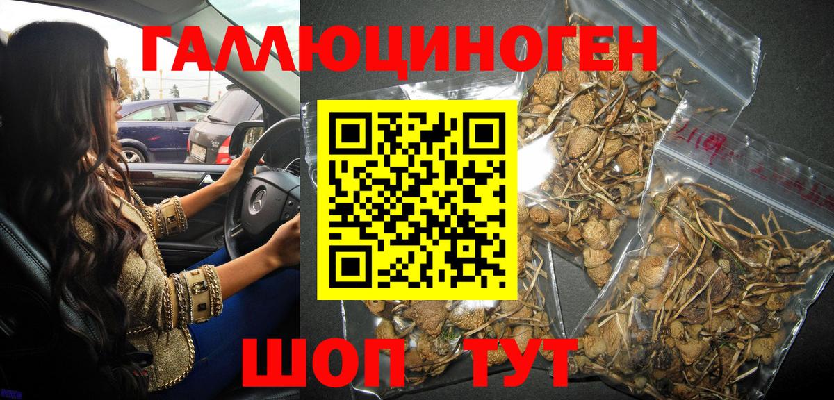 Галлюциногенные грибы Magic Shrooms Майский