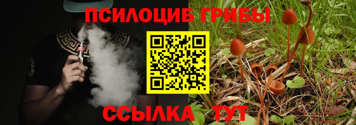 Майский  цена наркотик  Вход с VPN  Псилоцибиновые грибы Psilocybe 